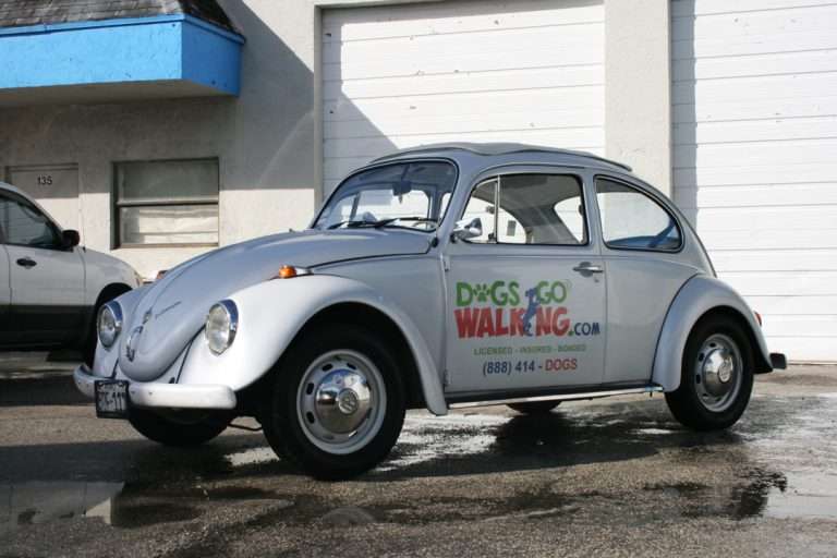 Dogs Go Walking commercial vehicle lettering project, photo 1 of 4