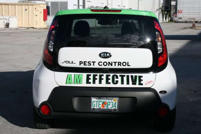 AM Effective commercial vehicle lettering project, photo 4 of 4